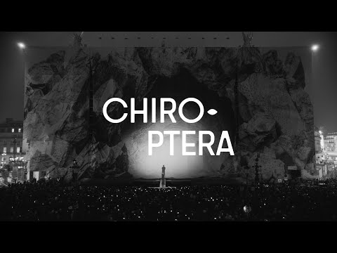 "Chiroptera", a collaborative project