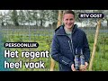 Bas (22) verbouwt eigen wijn in Balkbrug: "Geen Franse taferelen" | RTV Oost