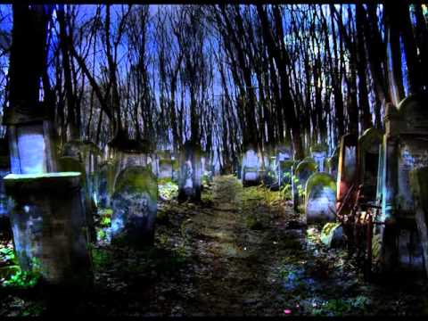 Darknesss - Necrokiller - Psycore