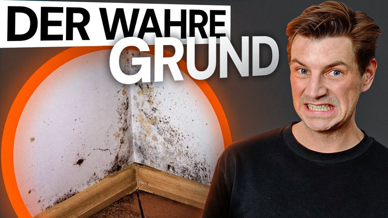 Schimmel nach Sanierung