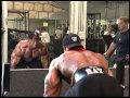 MOC Video presents Shawn Ray - The Final Countdown available at GMV BODYBUILDING 