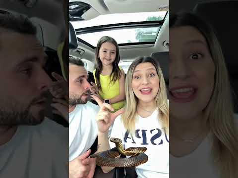 Are we surprised? 😂🩶