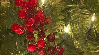 Rock Hill grandmother has 184 Christmas trees