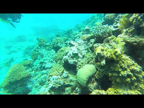 GoPro Hero 3 Silver Diving in the Great Coral Reef