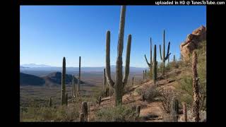 Dan Fogelberg - Tucson, Arizona (Extended Album Version 1984)