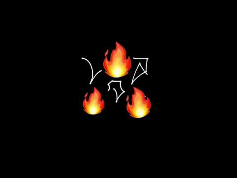 Quarcissus// FerchoLDA