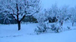 preview picture of video 'neve a Borgaro 7.1.09 Ore 8 intensa nevicata in corso'