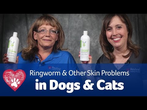 Does My Pet Have Ringworm?