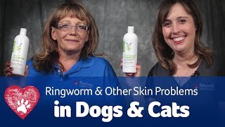 Does My Pet Have Ringworm?