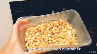 海外で納豆を家で作ってみた how to  make Natto (fermented soy bean)