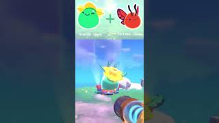 Every Tangle Slime Largo Combo | Slime Rancher 2 (Early Access)