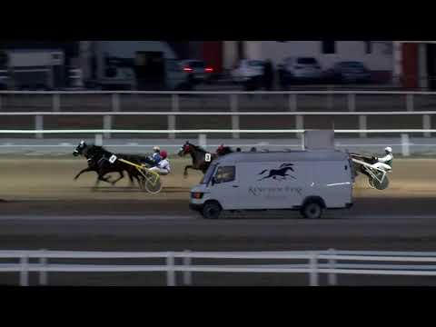 2019.02.23. 08. futam - 2019. ÉVI SEGÉDHAJTÓ KUPA I. FUTAMA HENDIKEP