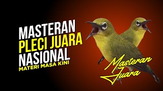 Download lagu VIRAL !!! Zosterops Mastering National Champion 2026 mp3