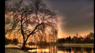 kasabian-Acid turkish Bath(Shelter from The Storm)