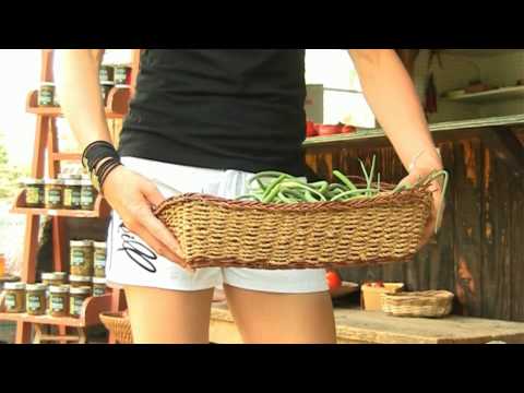 Copy of RUNAWAY CREEK FRENCH ZUMBA