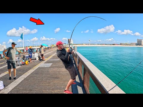 Walked to the End of the Gulf Pier and Caught This! *GIANTS*