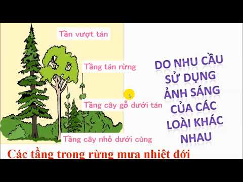 <a href="/thu-vien/tai-nguyen/khoi-12" title="Khối 12" rel="dofollow"Khối 12</a