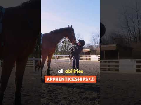 Equine Apprenticeships