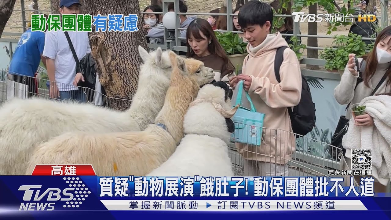 高雄新開幕「寵物互動園區」 爆飼養條件惡劣!園區喊冤
