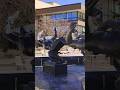 Art outside