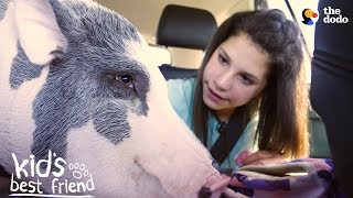 Download lagu Girl's BFFs Are Two Pigs — Who Act Just Like Dogs | The Dodo Kid's Best Friend mp3