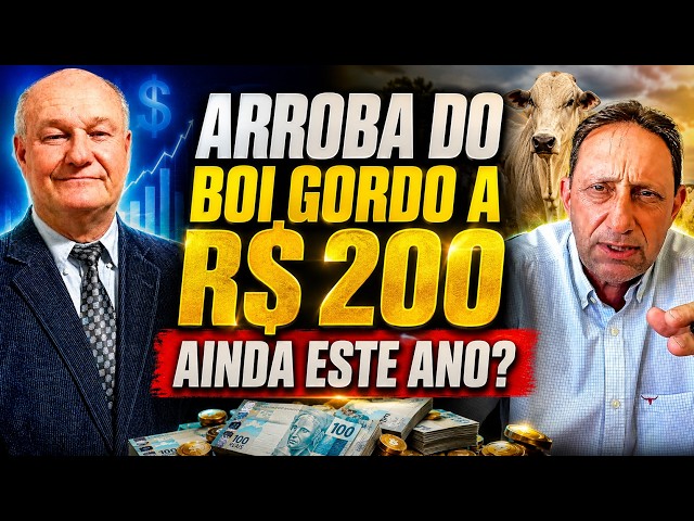 Arroba do Boi Gordo a R$ 200 ainda este ano?
