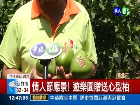 慶祝七夕情人節 創意心型柚登場