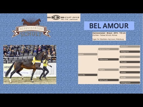 Bel Amour K&K cup 2018