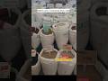 High Quality Millets At Low Cost Green Village Variety Of Traditional Rice Stall In Rice Festival