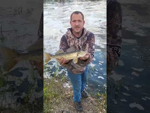 River Fishing With Lures.