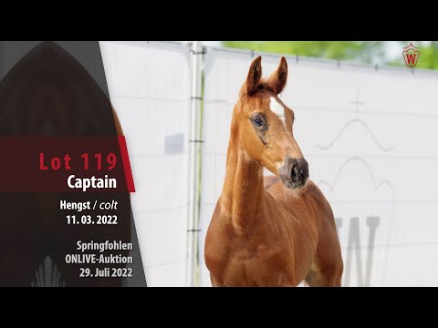OnLive-Auktion Lot 119 Captain Hengst v. Comme il faut NRW - Cascadello I
