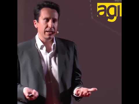 Capire l’uomo studiando il volo degli uccelli