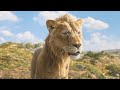 Mufasa The Lion King Mufasa S Speech I 4K Ultra HD