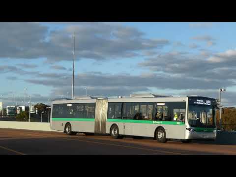Transperth Volvo B8RLEA (Volgren Optimus) TP3111 at Barry Marshall Parade,Murdoch