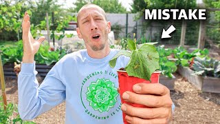 You’re Killing Your Cucumbers if You Do This, 5 MISTAKES You Can’t Afford to Make Growing Cucumbers