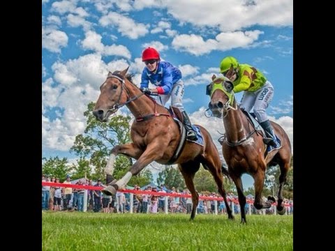 1988 ATC January Handicap _ Narcarlin