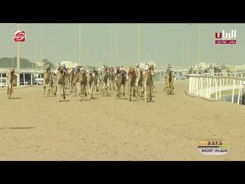 ش 19 ( لعبيه) لـ سعد مبارك محمد البادي النعيمي 5:51:47 مهرجان الأمير الوالد 2026/2/3 حقايق الشحانية