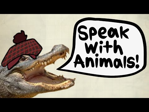 Speak with Animals is Optimal in D&D 5e 2024!