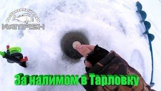 Где лучшие места для рыбалки в наб. челнах