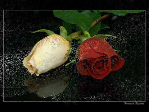 Tomame O Dejame video