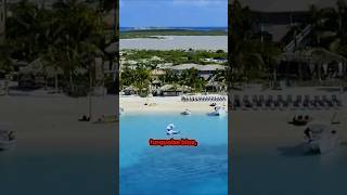 Is This Beach Real? 🌊✨