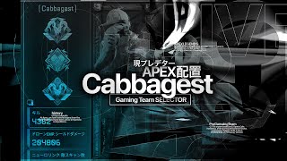 新しいサムネを自慢したいだけ【APEX】