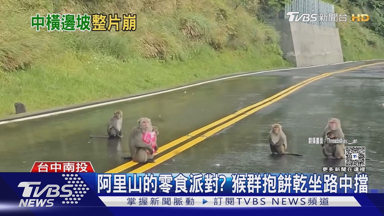 台8線驚見巨石滾落煙塵四起　10車遭堵1小時搶通