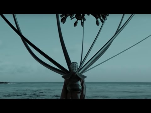 Paul van Dyk - The Ocean (Official Video)