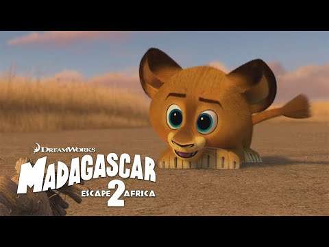Baby Alex is SO Cute! 🥺 🦁 | Madagascar: Escape 2 Africa | Animal Friends