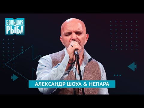 Александр Шоуа & НЕПАРА. Концерт | Живой звук