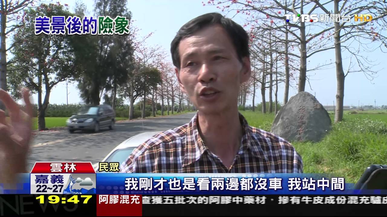 站路中央、穿越馬路! 全為搶拍木棉花道