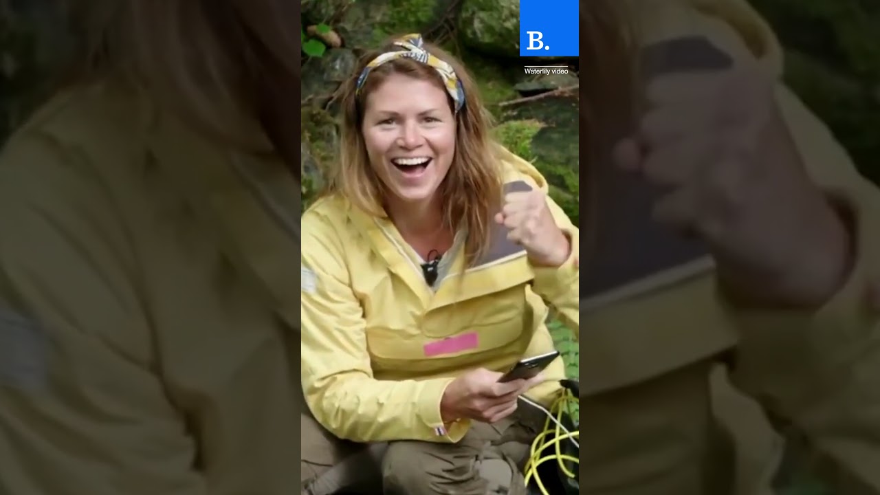 NVIDIA Geforce R.O.N. Gaming Assistant  vs The WaterLily Turbine: Which one is real!?