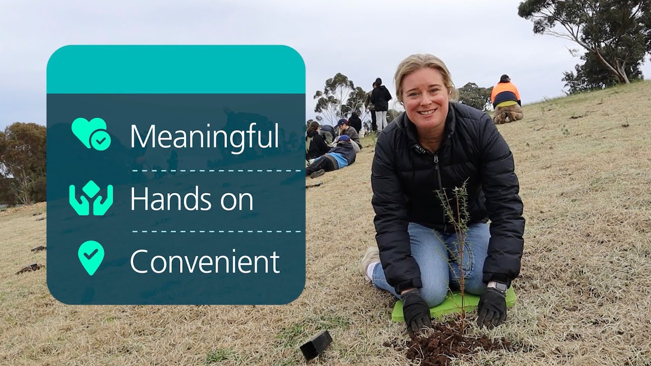 Tree planting with the DG, Rotary District 9800