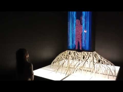 Brasil Minas Gerais Belo Horizonte "Fluido Solar" 03.01.2025 Sexta Feira 15:35 Horas